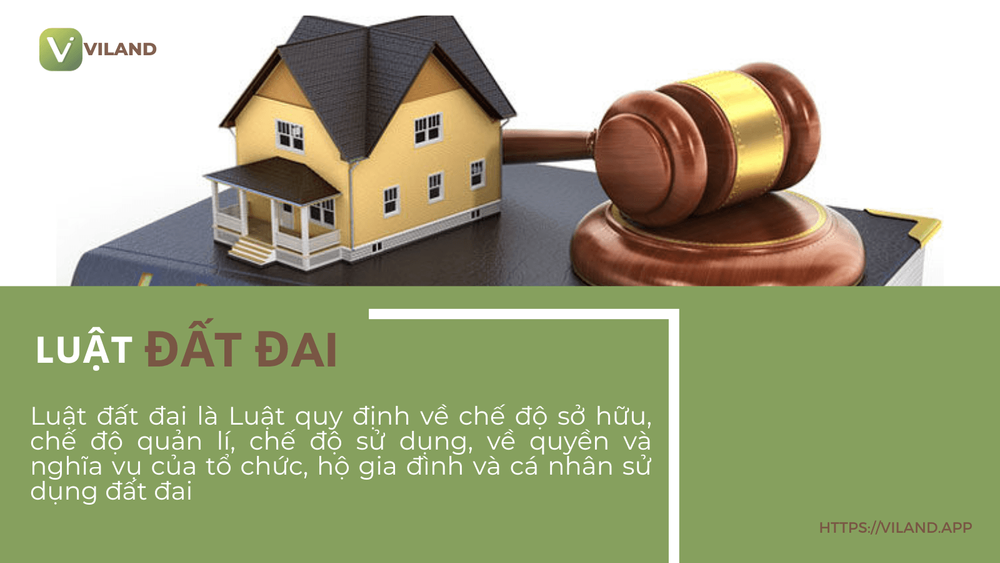 Chuyên nhà cho thuê và tra cứu quy hoạch thông minh